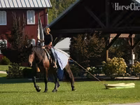Horse (M), Racking Horse — photo 8