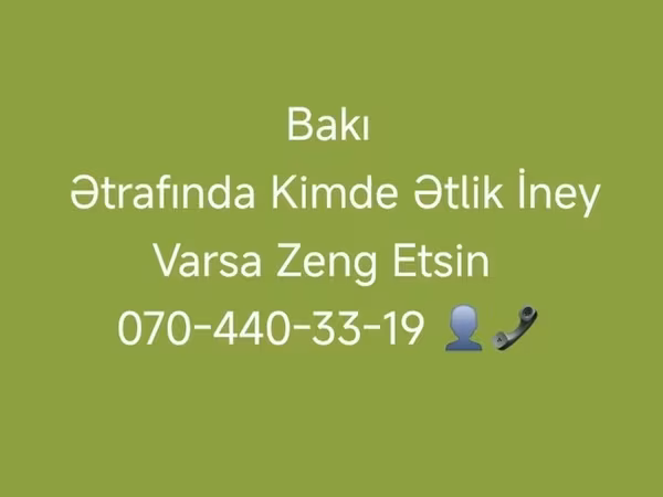 Tehén, Szarvasmarhák