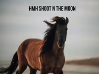 Hing, Rocky Mountain Horse — 7. fotó