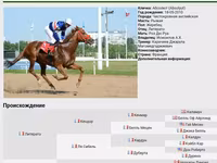 Kanca, Arabian horse — 6. fotó