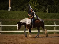 Caballo, Pinto horses — foto 6