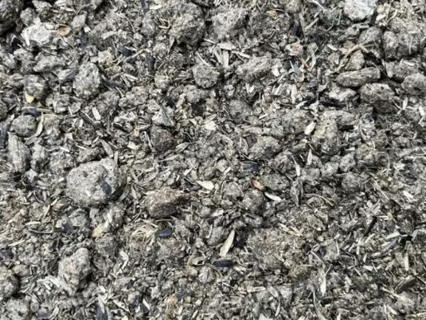 Extracted sunflower seeds with nationwide delivery, volume discount