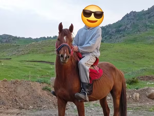 Hing, Anglo-Arabian