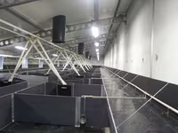 Подталкиватель кормов — 3. fotó