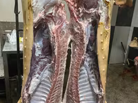 Verro, Cerdos — foto 2