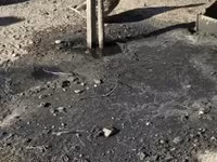 Ducks — الصورة 1