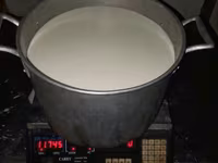 Nőstény kecske, Saanen goat — 8. fotó