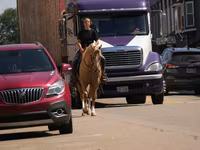 Hing, Quarter Horse — 4. fotó