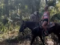 Yegua, Morgan — foto 8
