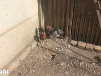 Chickens — 3. fotó
