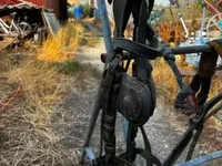 公马, Horses — 照片 8