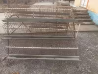 Katak 6 dona taklanib yigiladi — foto 1