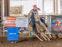 Hing, Quarter Horse — 3. fotó