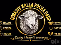 Owce (partia, płeć nieokreślona), Owce — zdjęcie 1