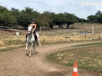 Kanca, Hungarian horse breed — 2. fotó