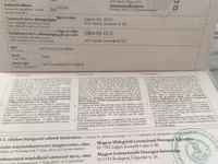 公马, Hungarian horse breed — 照片 1