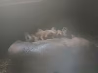 Kanec, Дюрок — foto 2