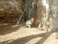 براهما — الصورة 1