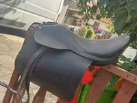 Yegua, Caballos — foto 7