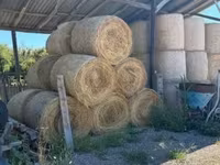 Keresek: Elcserélhető marhára vagy eladó széna és kukorica szár bála — photo 3