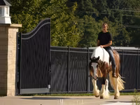 Caballo, Pinto horses — foto 7