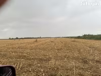 Elcserélnék vagy eladnák kukorica csuta bálát szarvasmarhára — photo 2