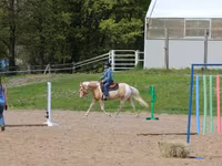 Cavalo, American paint horse — foto 7
