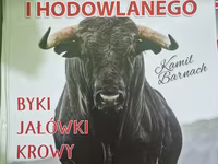 Skot (série, pohlaví neuvedeno), Skot — foto 2