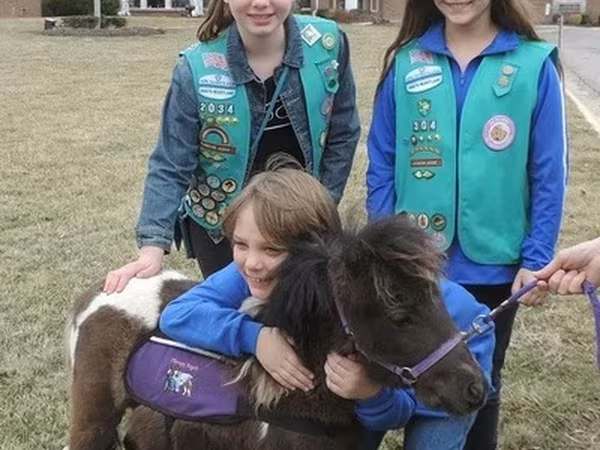Horse (M), Miniature horse
