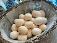 سيبرايت — الصورة 4