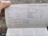 Yegua, Hungarian horse breed — foto 5