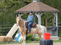 Cavalo, American paint horse — foto 8