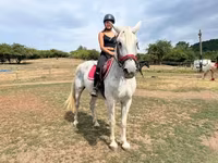 母马, Hungarian horse breed — 照片 3