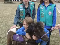 Hing, Miniature horse — 1. fotó