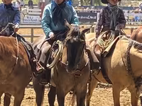 Hing, Quarter Horse — 8. fotó