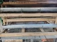 Quails — photo 1