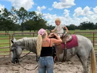 Mare, Quarter Horse — photo 5