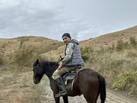 Hing, Azerbaijan horse — 3. fotó