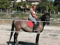 Mare, Polish pony — photo 5
