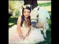 Kanca, Miniature horse — 1. fotó