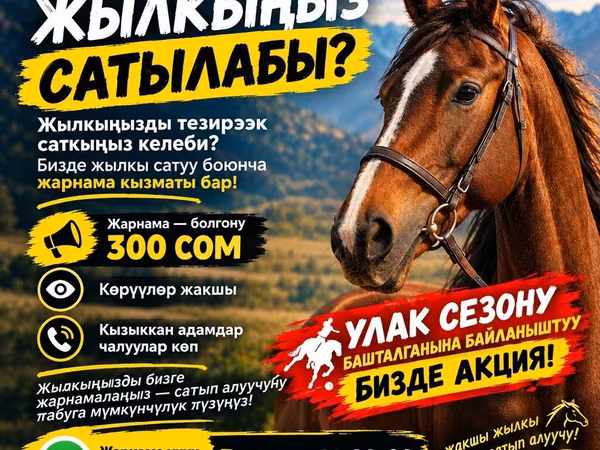 Caballos (lote, sexo no especificado), Caballos