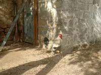 براهما — الصورة 3