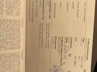 公马, Hungarian horse breed — 照片 6