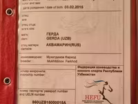 Kanca, Anglo-Arabian — 4. fotó